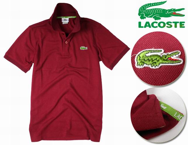 amazone polo lacoste